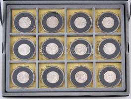 Amerikai Egyesült Államok 1999-2008. 1/4$ Cu-Ni "50 Állam" (24xklf) érmetartó kazettában T...