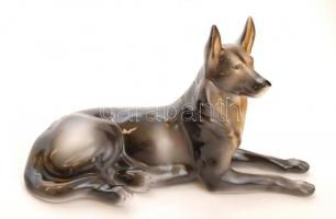 Hollóházi porcelán fekvő kutya, kézzel festett, jelzett, apró kopásnyomokkal, 20×8×11,5 cm