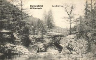 Tátra, Barlangliget, Landoki-híd / bridge (tűnyom / pinhole)