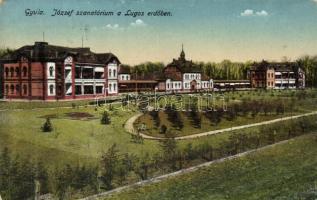 Gyula, József szanatórium a Lugos erdőben  (EK)