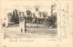 1899 Szombathely, Steinamanger; Bagolyvár (ázott sarok / wet corner)