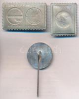 1980. "Szovjet-magyar közös űrrepülés" Ag ÁPV jelvény (8.13g/0.835/22mm) + 2xklf Ag bélyeg...