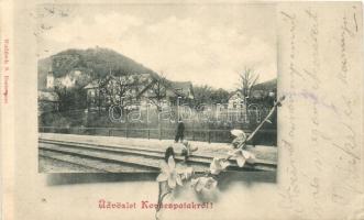 Kovácspatak, vasútállomás, Rédly-villa, Nyaraló szálloda / railway station, villa and hotel, floral (tűnyom / pinhole)