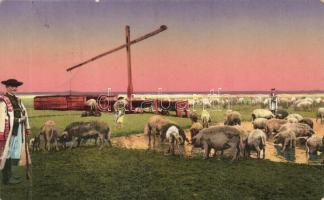 Hortobágy, 'Élet a Hortobágyon - Sertéscsorda'