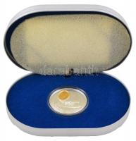 Kanada 1992. 20$ Ag "Vickers Vedette - Wilfred T. Reid" aranyozott portré, eredeti dísztok...