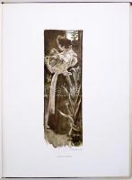 Bródy Sándor: Az ezüst kecske. Díszítették magyar festők. Bp., 1898, Pallas Irodalmi és Nyomdai Rész...