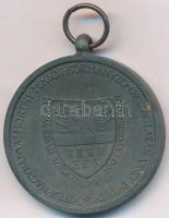 1940. "Erdélyi részek felszabadulásának emlékére" cink kitüntetés. Szign.: BERÁN T:2
Hung...