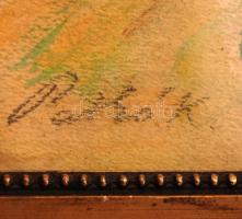 Patkó jelzéssel: Lovak a tengerparton, akvarell, papír, üvegezett fa keretben, 28×39 cm