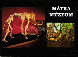 50 db modern városképes és motívum képeslap, főleg magyarországi városok, kevés külföldi és állatos ...