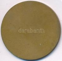 Szántó Gergely (1886-1962) 1927. "Királyi Magyar Egyetemi Nyomda" Br emlékérem (40mm) T:2