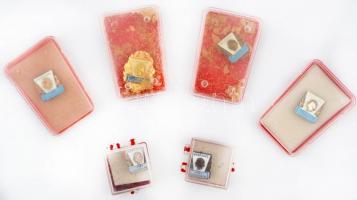 ~1960-1980. "Hűséggel a nép egészségéért" zománcozott fém jelvény arany, ezüst és bronz fo...