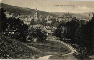 Segesvár, Schassburg, Sighisoara; látkép / panorama view (EK)