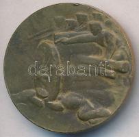 Murányi Gyula (1881-1920) 1915. "A Krasniki diadalmas csatában az oroszoktól elvett ágyúból ver...