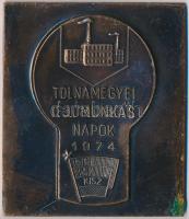 1974. "Tolna Megyei Ifjúmunkás Napok 1974 - KISZ" fém emlékplakett (60x70mm) T:2-