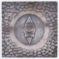 Lengyelország DN "Dzerzsinszkij Politikai-Katonai Akadémia Varsó" fém emlékplakett (60x60m...