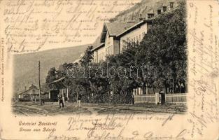 Báziás, vasútállomás / railway station (EK)