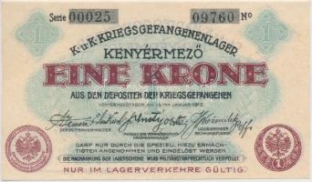 Kenyérmező / Hadifogolytábor 1916. január 15. 1K arab sorozat- és sorszámmal T:I-