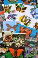 81 db MODERN pillangós motívumlap, bélyegzéssel / 81 modern butterfly motive cards, So. Stpl