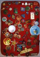 80 db magyar és külföldi jelvény tűzőtáblán