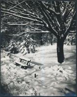 cca 1940 Havas táj, vintage fotóművészeti alkotás, 24x18 cm