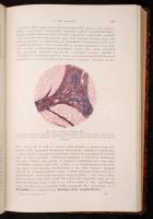 Schmaus: A kórbonctan alapvonalai. Átdolg.: Herxheimer, Gotthold. 2. köt.: Részletes kórbonctan. Bp....