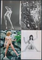 cca 1975 Karakteres lányok, asszonyok tétele, 13 db finoman erotikus fénykép, korabeli negatívokról készült modern nagyítások, 13x9 cm / cca 1975 13 erotic photos, 13x9 cm