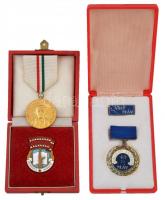 Halmágyi István (1897-1987) 1959. "Louis Braille emlékérem 1809-1959 / Vakok és csökkentlátóak ...