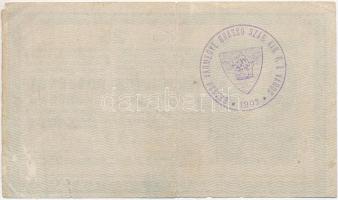 1918. 25K "3133" 3mm, hullámos hátlap, "Brassó Vármegye Brassó Szab. Kir. R. T. Város...