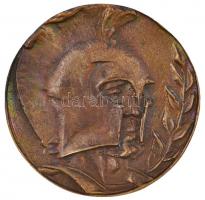 1972. "Kiváló munkájáért" Br plakett eredeti tokban (71mm) T:1