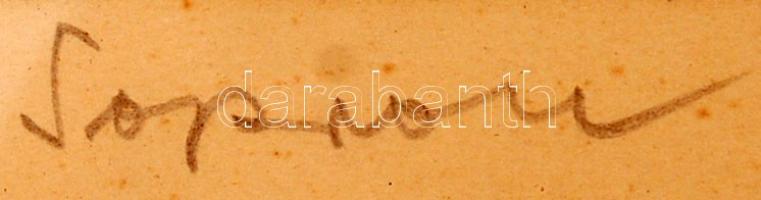 Csavlek András (1942-): Sopron. Színes linómetszet, papír, jelzett, üvegezett keretben, 26×44 cm