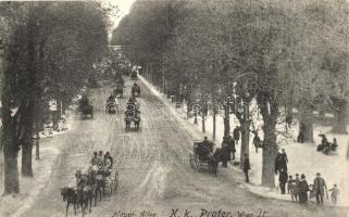 Vienna, Wien II. Prater, horse carriage