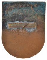 ~1930. "Soproni Evangélikus Liceum" zománcozott Br jelvény (43x33mm) T:2,2- kis zománchiba