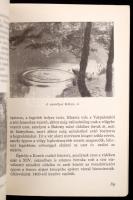 Várpalota, + Devecser-Ugod, Essegvár-Döbrönte. 1956-61, Veszprém Megyei Tanács Idegenforgalmi Hivata...