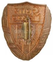 1960. "Ganz Mávag S.E. 1910 - 1960" zománcozott fém jelvény (50x42mm) T:2