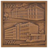 1975. "MN (Magyar Néphadsereg) Központi Katonai Kórház 1945-1975" Br szögletes emlékplaket...