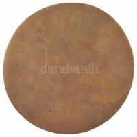 Kő Pál (1941-) 1980. "Béla Rex" egyoldalas Br plakett (109mm) T:2