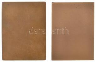 Iván István (1905-1968) 1960. "325 éves az Eötvös Lóránd Tudományegyetem" Br plakett (2xkl...