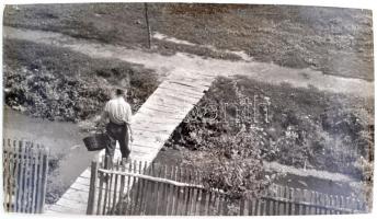 cca 1960 Krisch Béla (Kecskemét): Plank, pecséttel jelzett, kiállítási emlékjeggyel ellátott vintage fotóművészeti alkotás, 22x40 cm