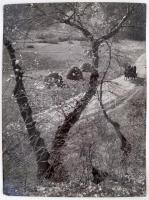 cca 1961 Dezső Pál (Kecskemét): Őszi táj, feliratozott, kiállítási emlékjegyekkel ellátott vintage fotóművészeti alkotás, 40x30 cm