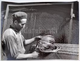 cca 1960 Medgyesi László (Kecskemét): Drótfonóban, feliratozott vintage fotóművészeti alkotás, 30x40 cm