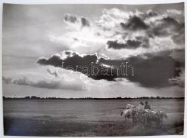 cca 1958 Medgyesi László (Kecskemét): Alkonyatban, feliratozott vintage fotóművészeti alkotás, 30x40 cm