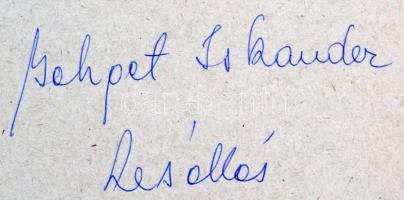 cca 1975 Bahget Iskander: Lesállás, kartonra kasírozva, feliratozott vintage fotóművészeti alkotás, ...