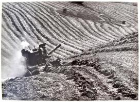 cca 1970 Gebhardt György (1910-1993): Mezőgazdaság, feliratozott vintage fotóművészeti alkotás, 30x40 cm