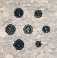 2008. 1Ft-100Ft 7xklf darabos forgalmi sor "Búcsú az egy- és kétforintostól" dísztokos sze...