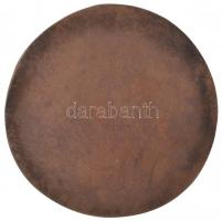 DN "Markusovszky Lajos" orvos Br plakett, ismeretlen művész (86mm) T:2
ND "Lajos Mar...