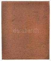 Murányi Gyula (1881-1920) DN "A Beethoven plakett mellékalakjai" Br plakett (54x44,5mm) T:...