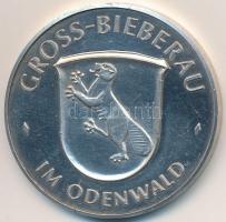 Németország DN "Gross-Bieberau im Odenwald" Ag emlékérem (19,85g/0.986/35mm) T:2(PP)
Germ...