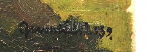 Gumilár István (?-?): Falusi udvar, olaj, vászon, jelzett, 35,5×40,5 cm