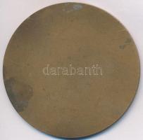 DN "Bartók Béla emlékérem" egyoldalas Br érem (60mm) T:2 patina