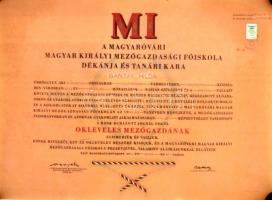 1946 A Magyaróvári Magyar Királyi Mezőgazdasági Főiskola díszes mezőgazdász diplomája Bántay Hilda (1923-?) részére, papír, okmánybélyeggel, fa tokos függőpecséttel, saját sérült fedelű tokjában